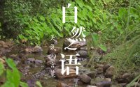 轻音乐免费下载mp3，百度网盘资源打包下载